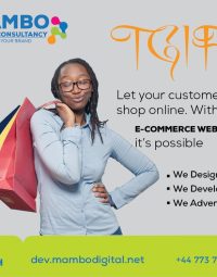 Web Development Services